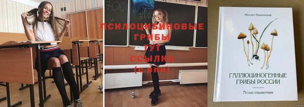 эйфоретик Дмитровск