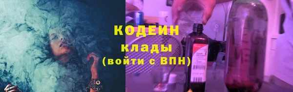 гашик Гусев