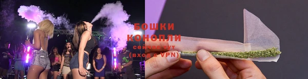 молекула духа Алексеевка