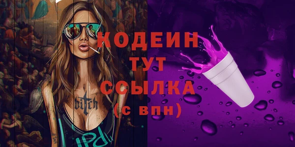 крисы Абаза
