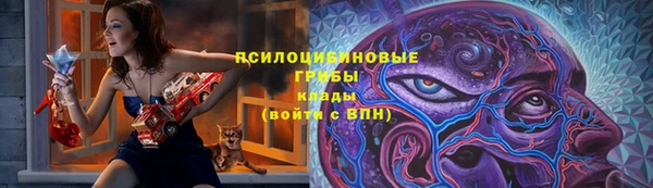 крисы Абаза
