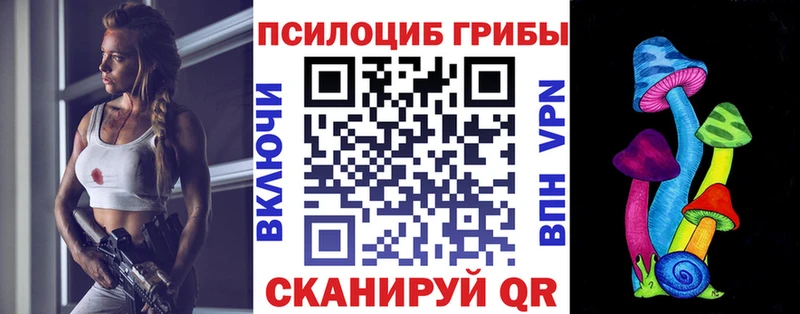 Псилоцибиновые грибы мицелий  Северодвинск 