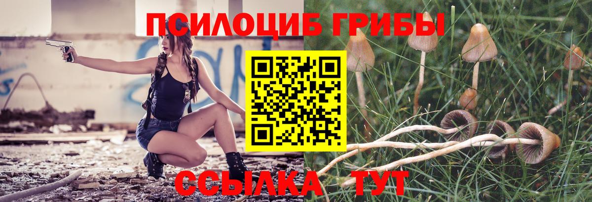 купить закладку  Галлюциногенные грибы Cubensis  Вход с VPN  Северодвинск 