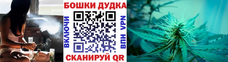 купить закладку  Северодвинск  Бошки Шишки SATIVA & INDICA 