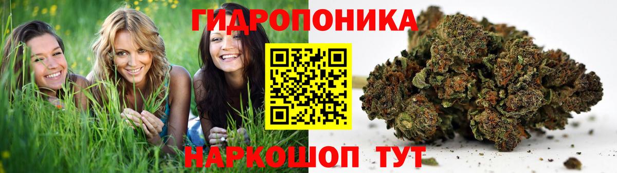Канабис сатива Северодвинск